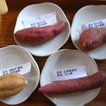 さつまいも食べ比べ